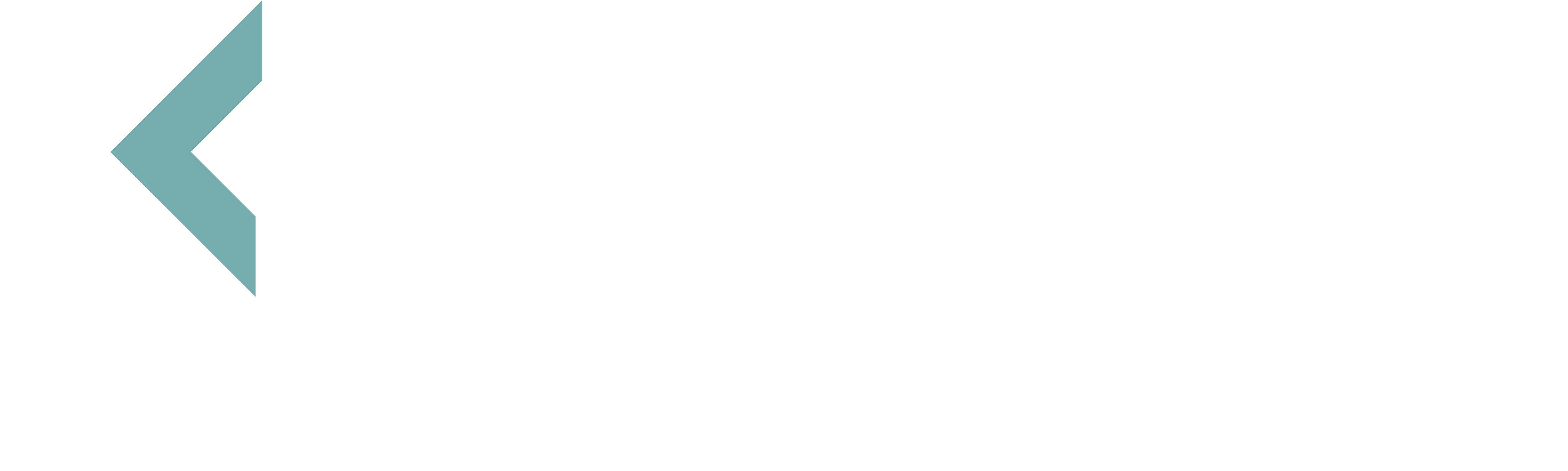 recyber logo_female2